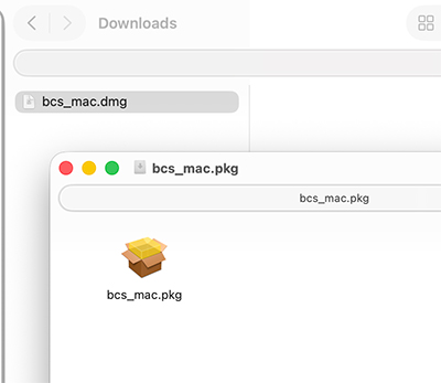 Mount DMG and use PKG