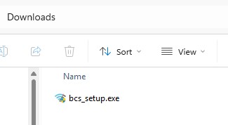 BCS service download