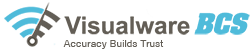 visualware logo